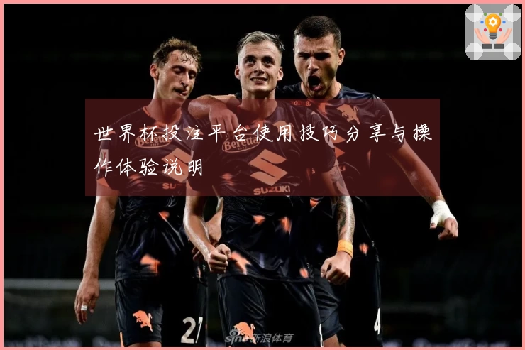 世界杯投注平台使用技巧分享与操作体验说明
