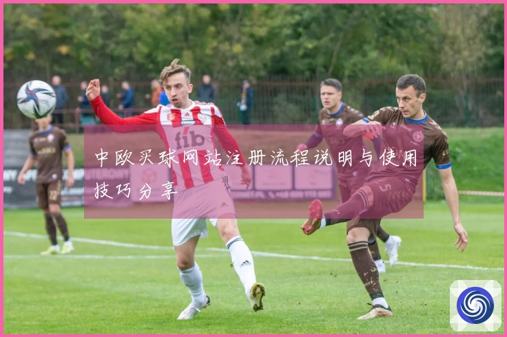 中欧买球网站注册流程说明与使用技巧分享