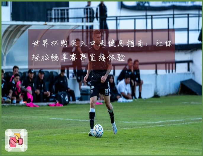 世界杯购买入口及使用指南，让你轻松畅享赛事直播体验