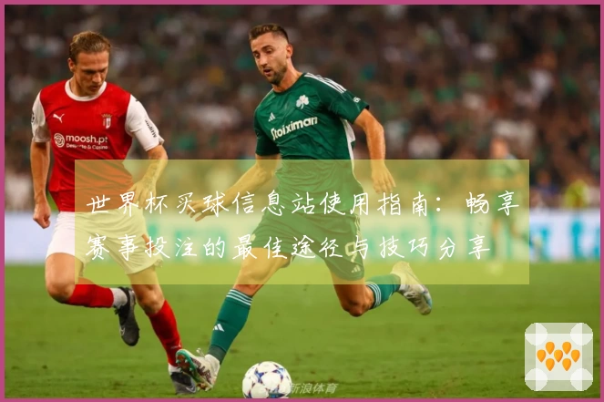 世界杯买球信息站使用指南：畅享赛事投注的最佳途径与技巧分享