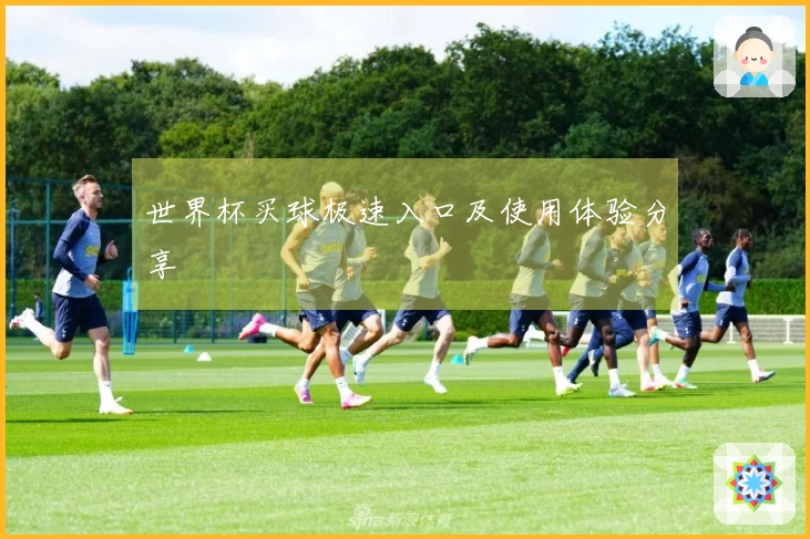 世界杯买球极速入口及使用体验分享