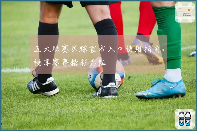 五大联赛买球官方入口使用指南，畅享赛事精彩无阻