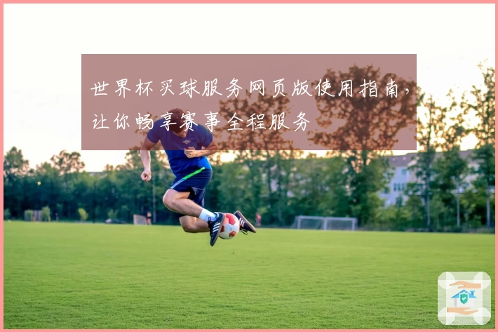 世界杯买球服务网页版使用指南，让你畅享赛事全程服务