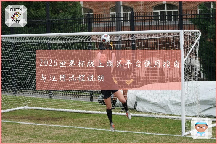 2026世界杯线上购买平台使用指南与注册流程说明