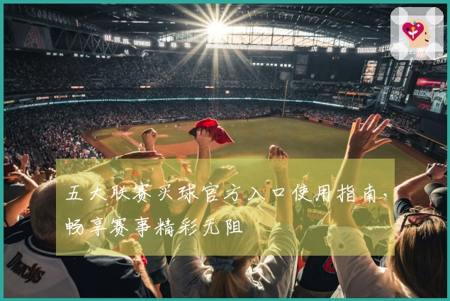 五大联赛买球官方入口使用指南，畅享赛事精彩无阻
