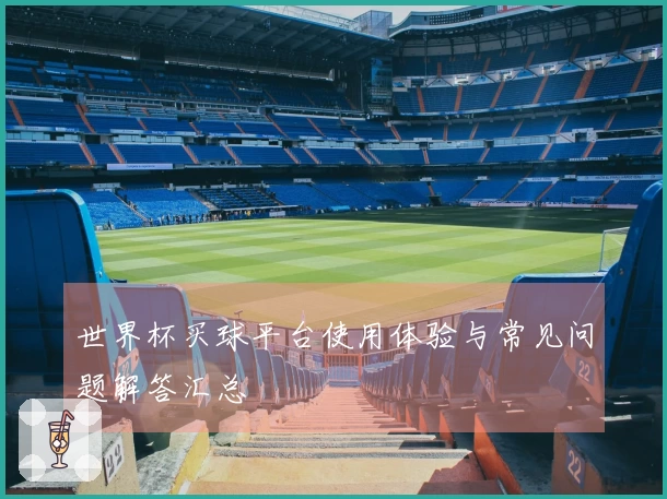 世界杯买球平台使用体验与常见问题解答汇总